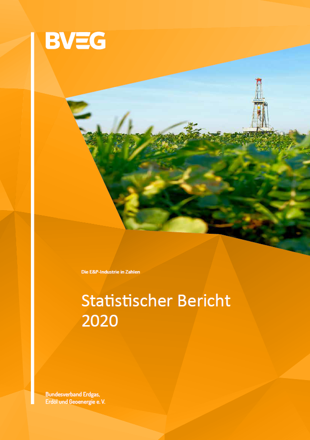 Statistischer Jahresbericht 2020