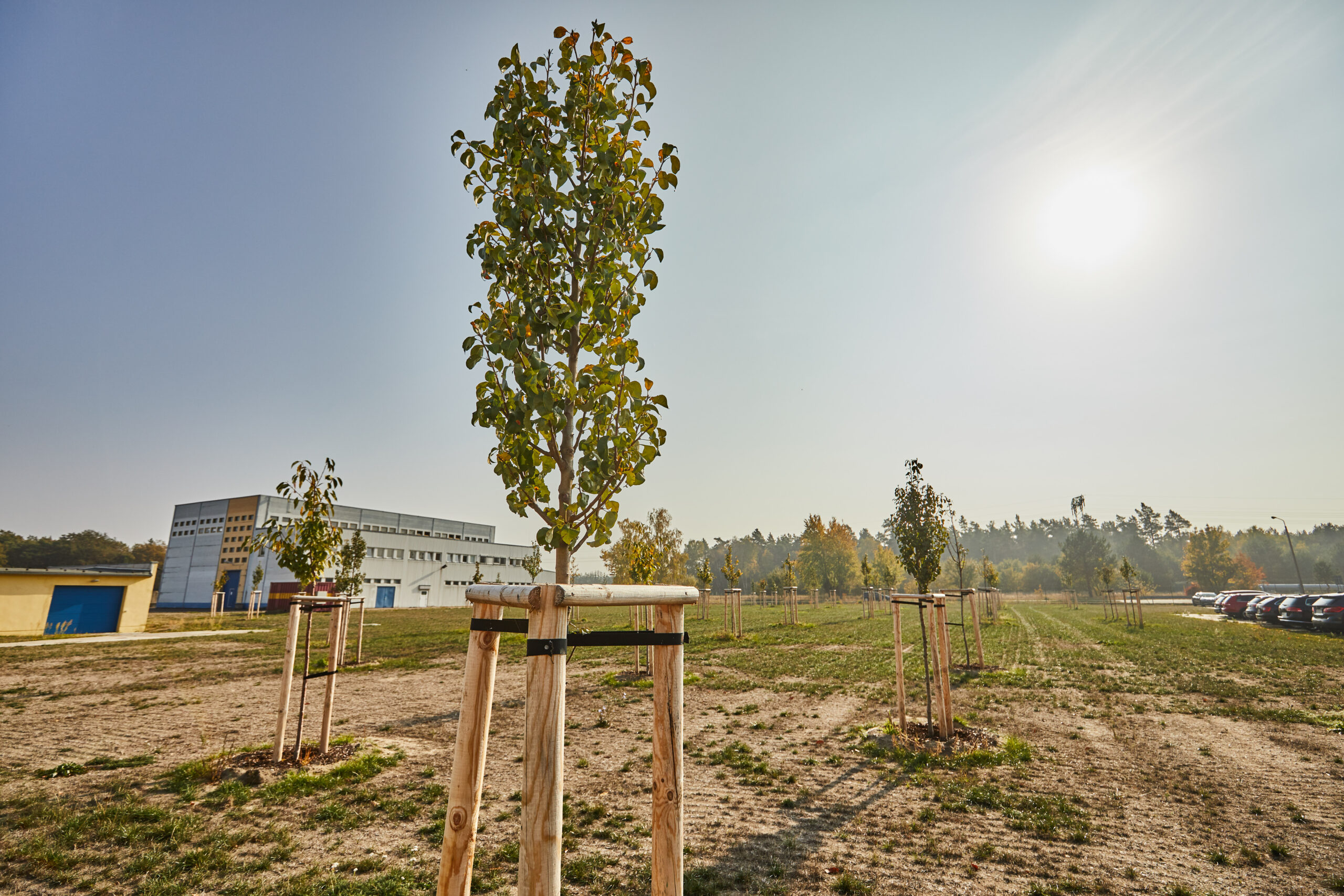 Die Streuobstwiese in Steinitz