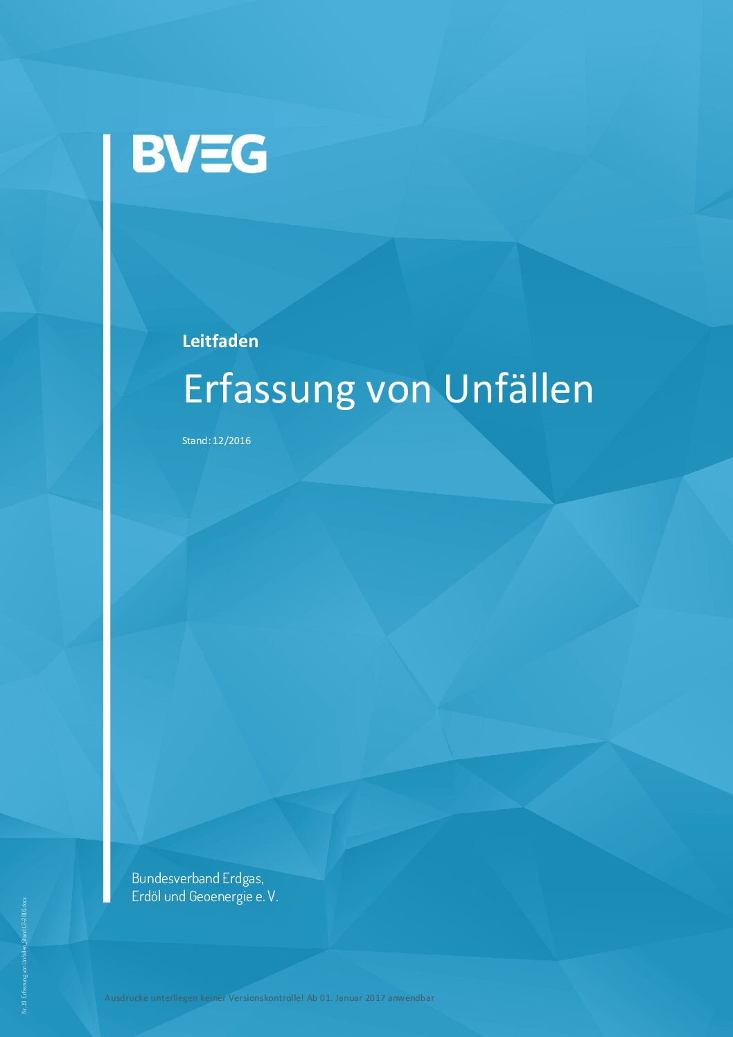 BVEG Leitfaden Erfassung von Unfällen