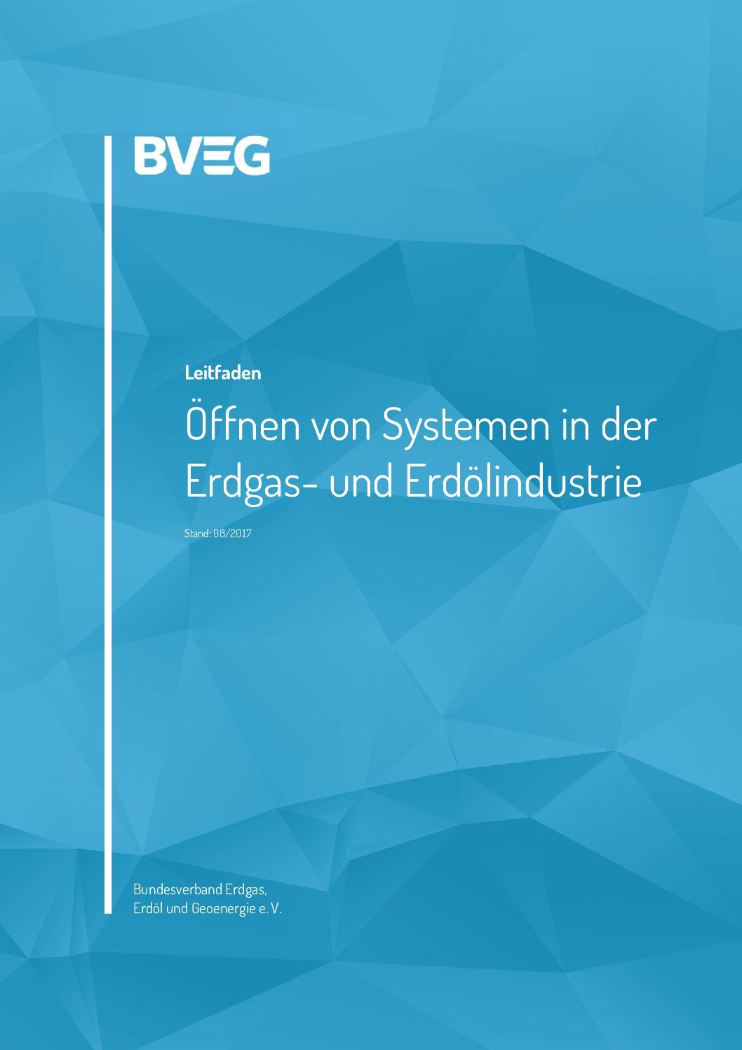 BVEG Leitfaden Öffnen von Systemen in der Erdgas- und Erdölindustrie