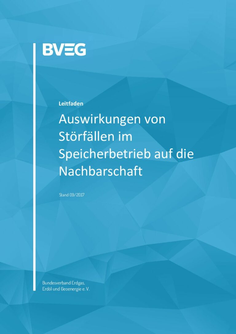 BVEG Leitfaden Auswirkungen von Störfällen im Speicherbetrieb