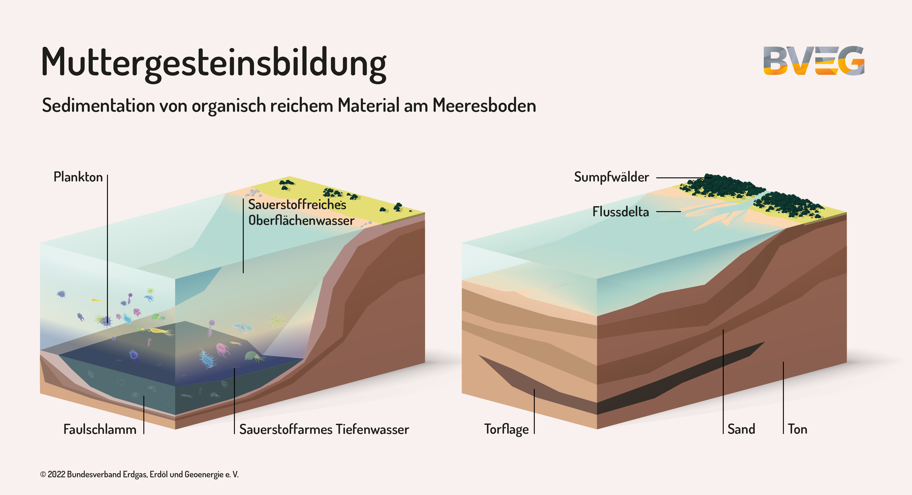 Wie Erdgas entsteht – Exkurs in die Erdgeschichte