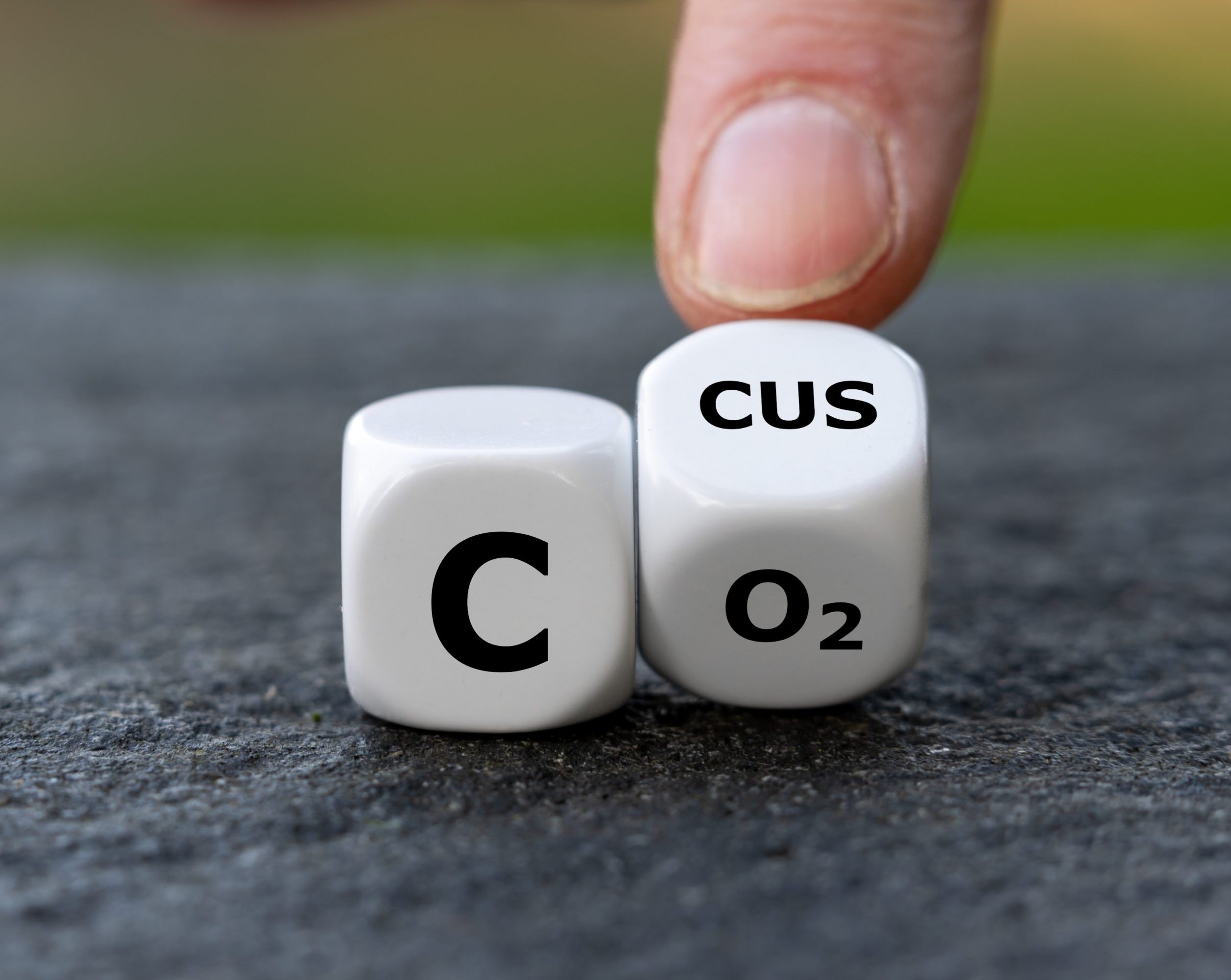 Deutschland braucht eine Carbon-Management-Strategie